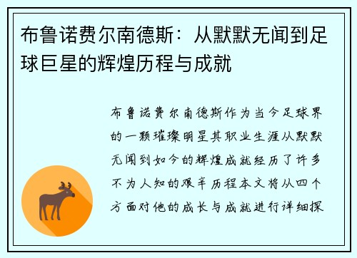 布鲁诺费尔南德斯：从默默无闻到足球巨星的辉煌历程与成就